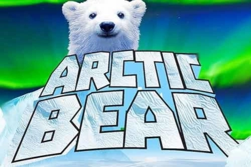 Arctic Bear at Here2Win Casino