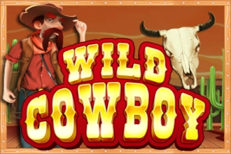 Wild Cowboy at Here2Win Casino