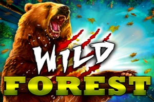 Wild Forest at Here2Win Casino