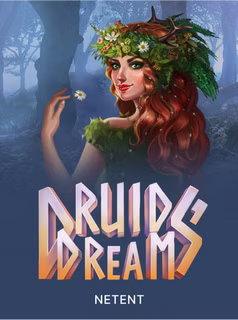 Druids' Dream at Here2Win Casino