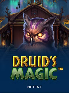 Druid’s Magic at Here2Win Casino