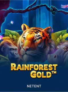 Rainforest Gold at Here2Win Casino