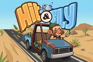 Hit & Fly pokie