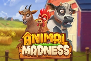 Animal Madness at Here2Win Casino