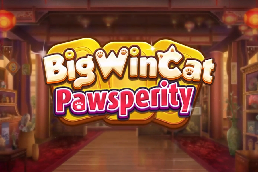 Big Win Cat Pawsperity at Here2Win Casino