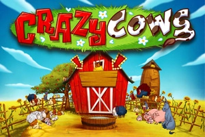 Crazy Cows at Here2Win Casino