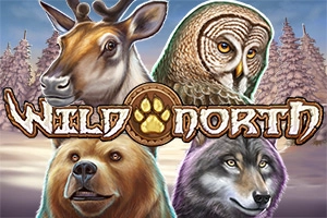 Wild North pokie
