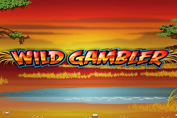 Wild Gambler at Here2Win Casino