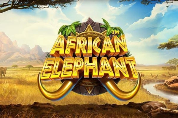 African Elephant at Here2Win Casino