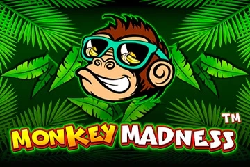 Monkey Madness at Here2Win Casino