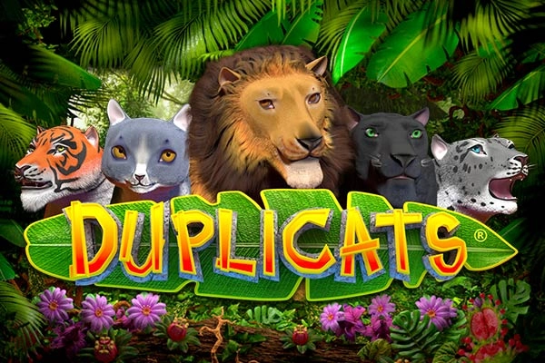Duplicats at Here2Win Casino