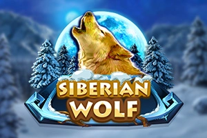 Siberian Wolf at Here2Win Casino