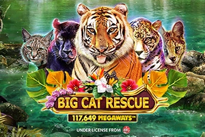 Big Cat Rescue Megaways at Here2Win Casino