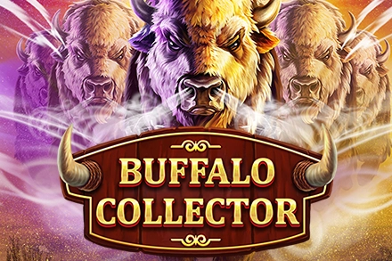 Buffalo Collector at Here2Win Casino