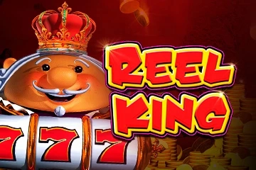 Reel King Mega pokie