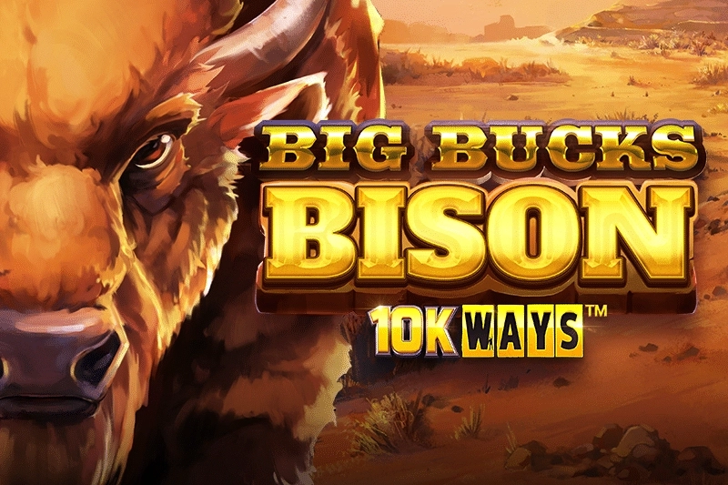 Big Bucks Bison 10K Ways at Here2Win Casino