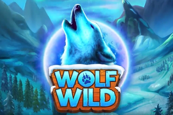 Wolf Wild at Here2Win Casino