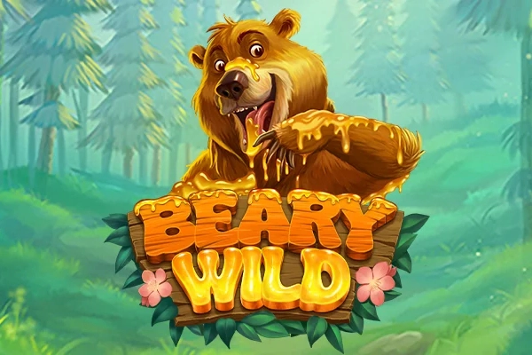 Beary Wild at Here2Win Casino