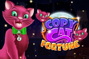Copy Cat Fortune at Here2Win Casino