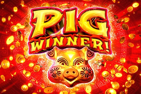 Pig Winner at Here2Win Casino
