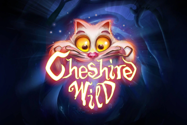 Cheshire Wild at Here2Win Casino