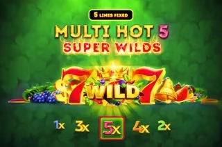 Multi Hot 5 Super Wilds pokie