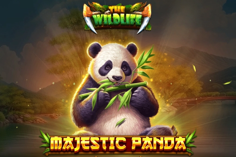 Majestic Panda at Here2Win Casino