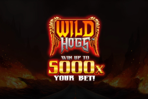 Wild Hogs at Here2Win Casino