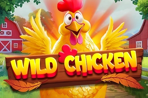 Wild Chicken at Here2Win Casino