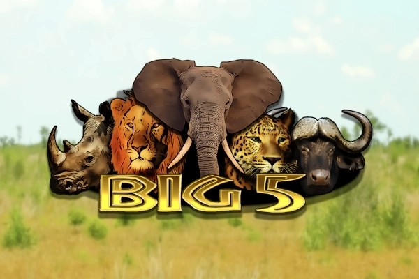 Big 5 pokie