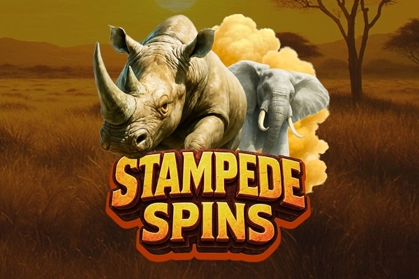 Stampede Spins at Here2Win Casino