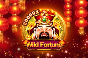 Wild Fortune at Here2Win Casino