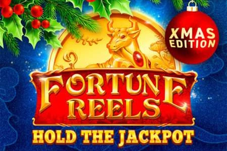 Fortune Reels Xmas Edition at Here2Win Casino