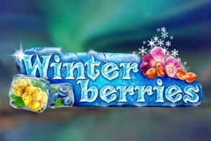 Winterberries pokie